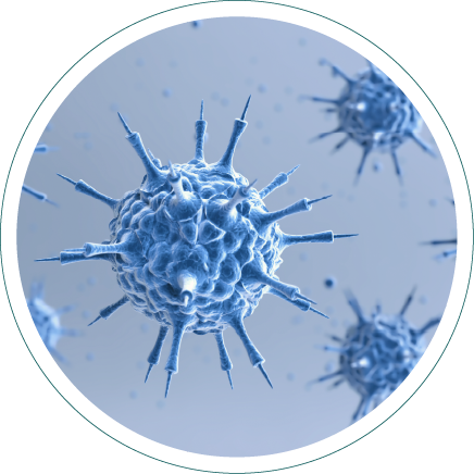 항바이러스 치료